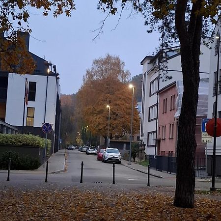 Maple Park Apartment Kaunas Luaran gambar