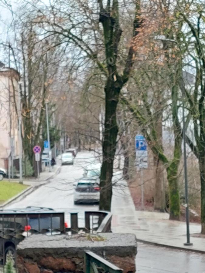 Maple Park Apartment Kaunas Luaran gambar