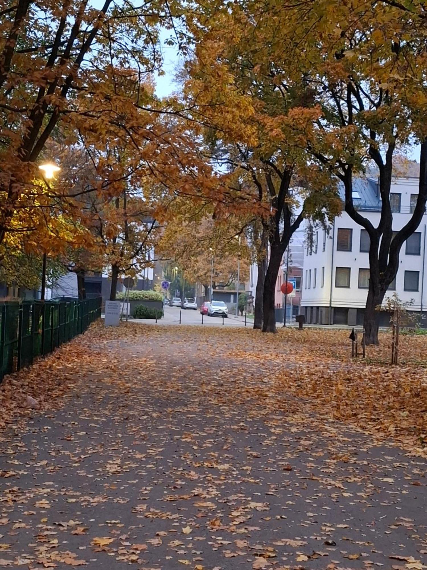 Maple Park Apartment Kaunas Luaran gambar